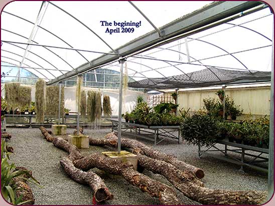 The beginning, April 2009