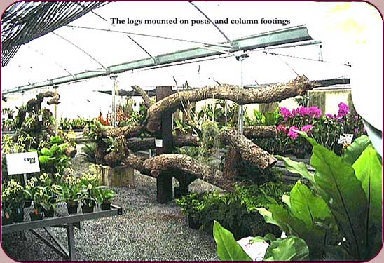 The logs mounted on posts and column footings